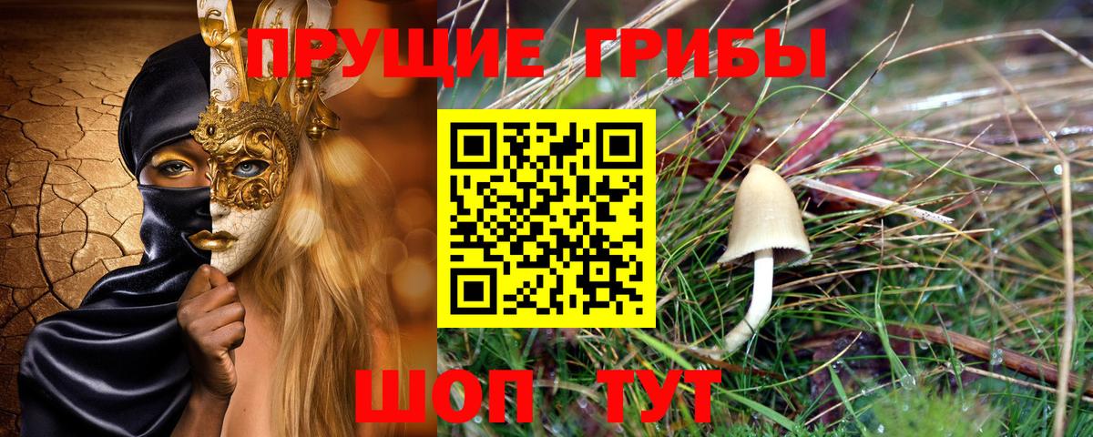 Псилоцибиновые грибы Cubensis Вязники
