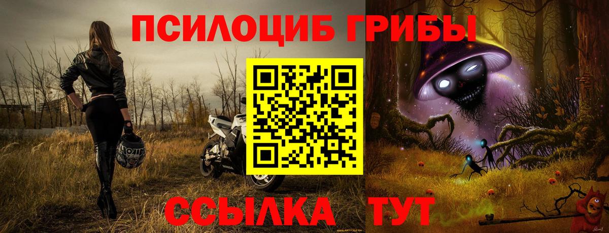 Галлюциногенные грибы ЛСД  Вход с VPN  Вязники  Галлюциногенные грибы прущие грибы 